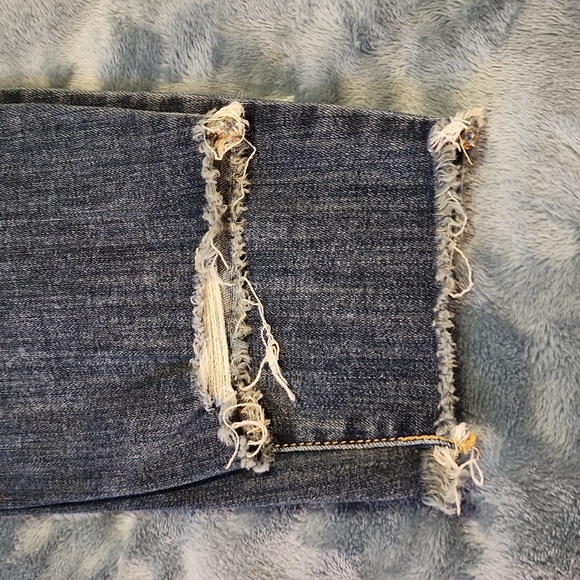 Lane Bryant Jeans - Picture 7 of 8